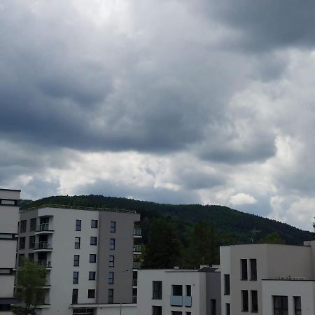 Apartament Pod Szyndzielnia, Debowiec Бельско-Бяла Экстерьер фото