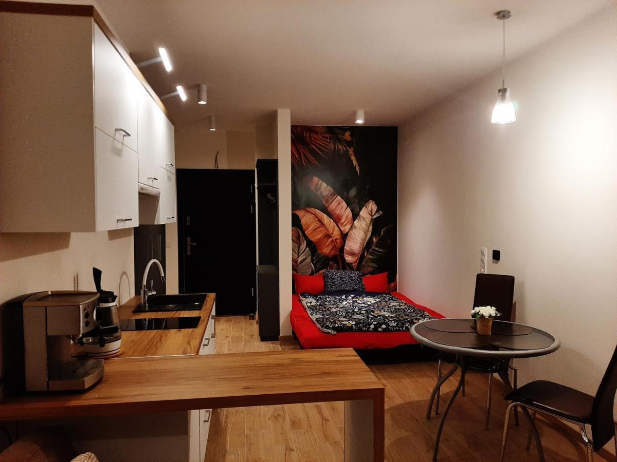 Apartament Pod Szyndzielnia, Debowiec Бельско-Бяла Экстерьер фото
