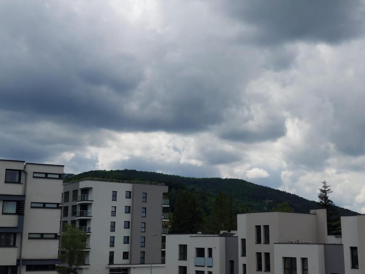 Apartament Pod Szyndzielnia, Debowiec Бельско-Бяла Экстерьер фото