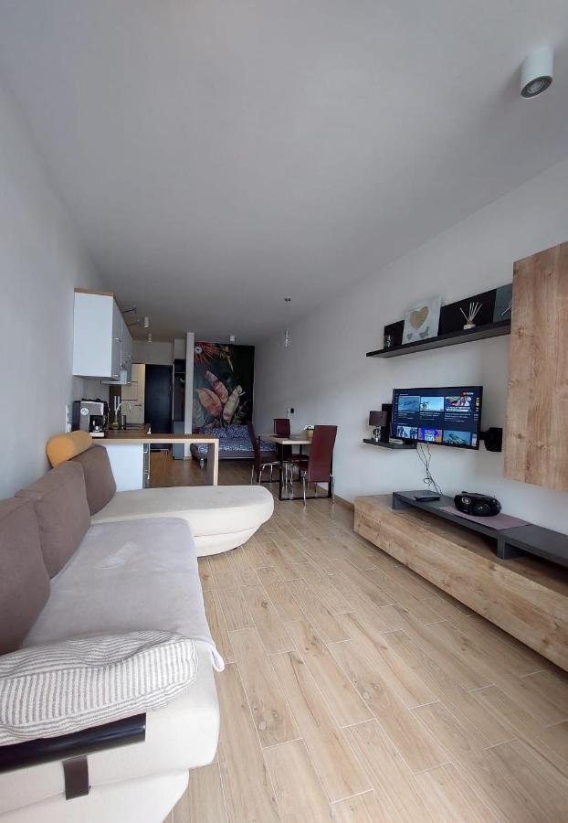 Apartament Pod Szyndzielnia, Debowiec Бельско-Бяла Экстерьер фото