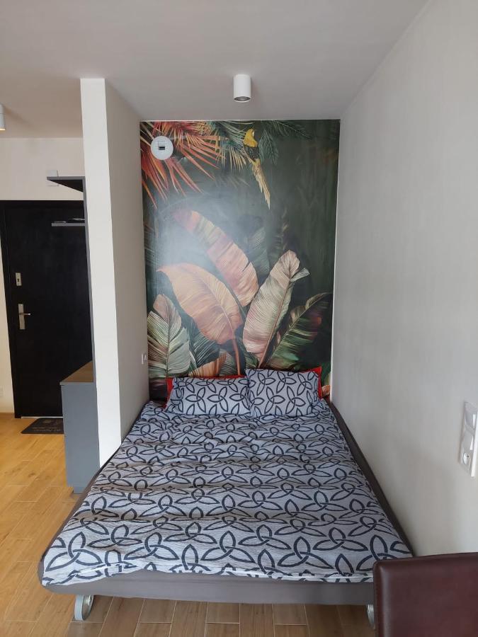 Apartament Pod Szyndzielnia, Debowiec Бельско-Бяла Экстерьер фото